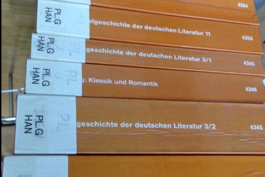 dtv Literaturgeschichte - Bild 1