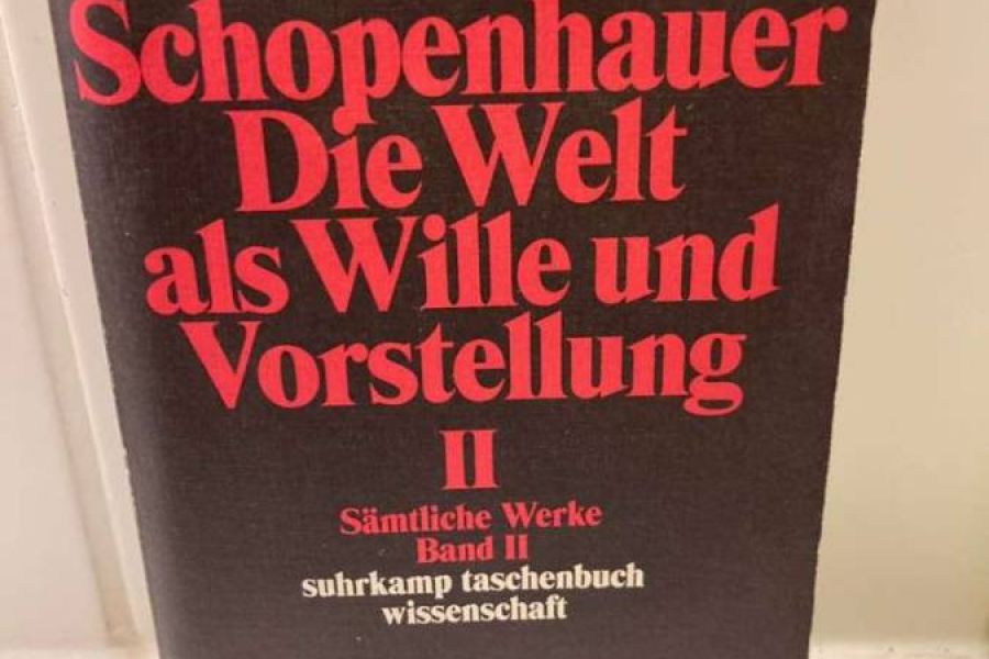 Arthur Schopenhauer: Die Welt als Wille und Vorstellung II - Bild 1